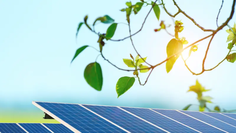 Photovoltaik Anlage: Ihr Schritt zu nachhaltiger Energie